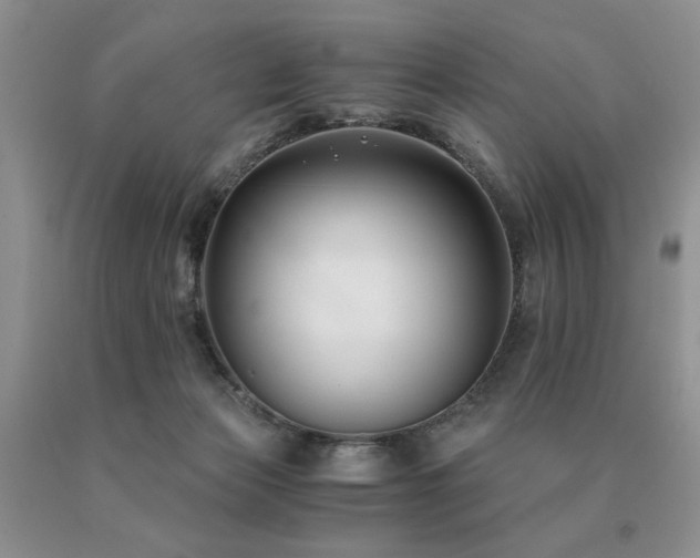 X0000091060173200708061249