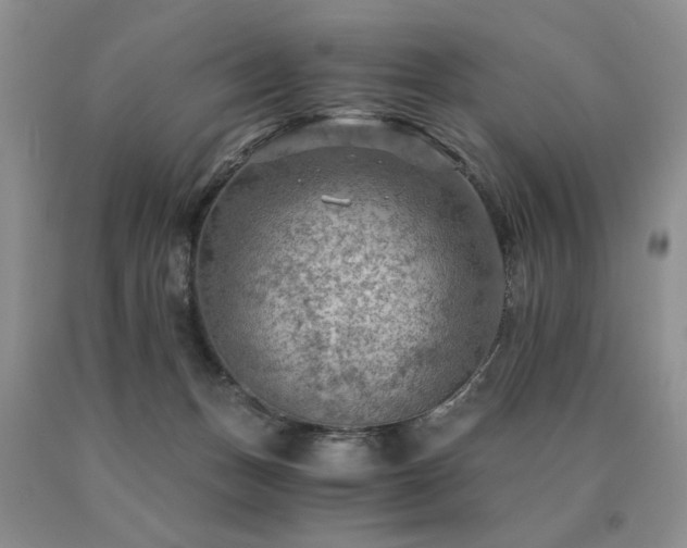 X0000091060175200708061249