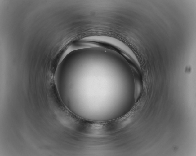 X0000091060176200708061249
