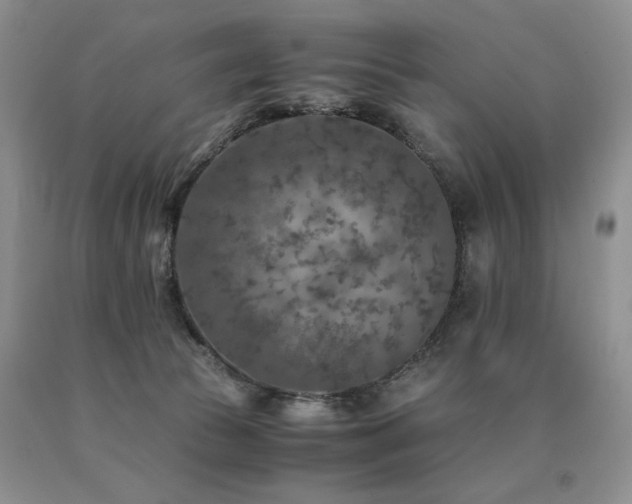 X0000091060177200708061249