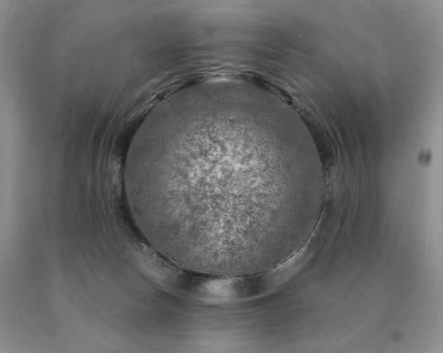 X0000091060178200708061249
