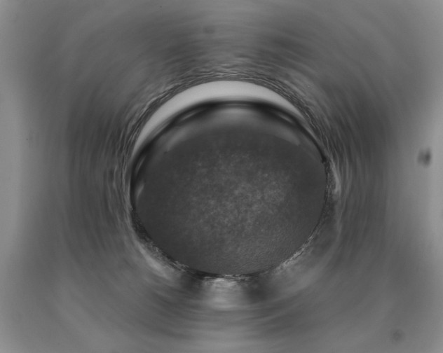 X0000091060180200708061249
