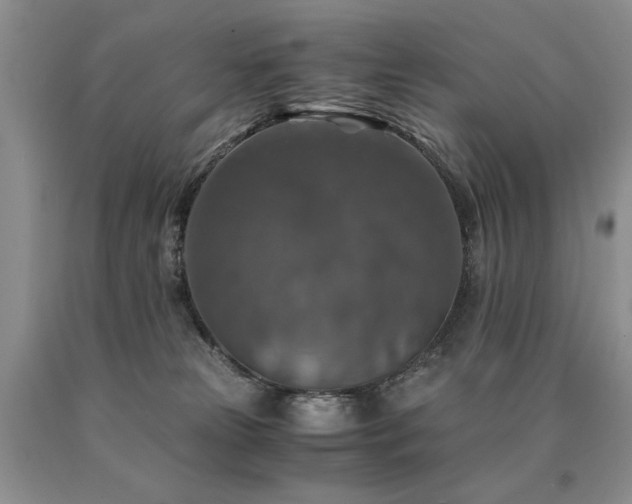 X0000091060181200708061249