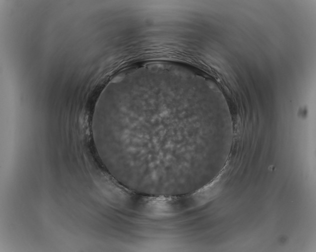 X0000091060182200708061249