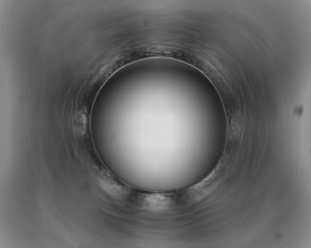X0000091060183200708061249