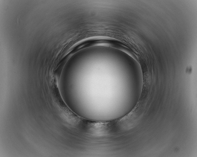 X0000091060184200708061249