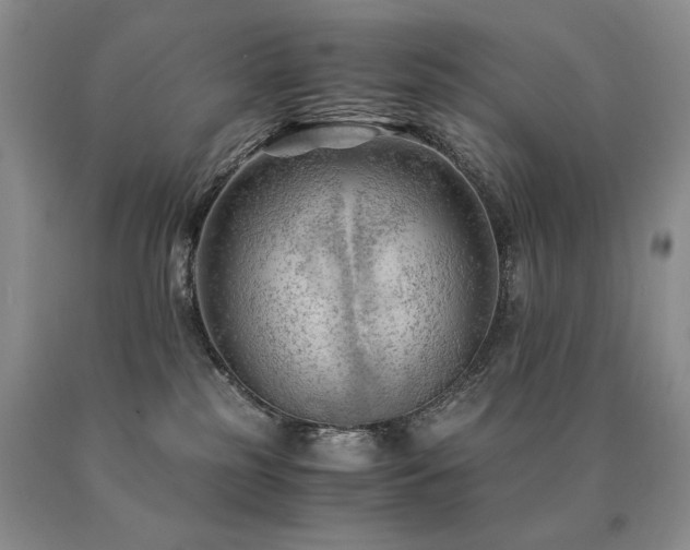 X0000091060185200708061249