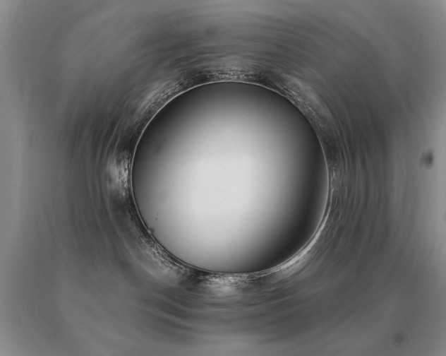 X0000091060190200708061249