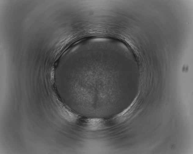 X0000091060192200708061249