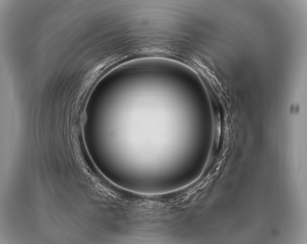 X0000091060193200708061249