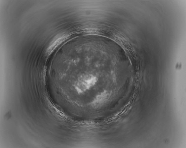 X0000091060194200708061249