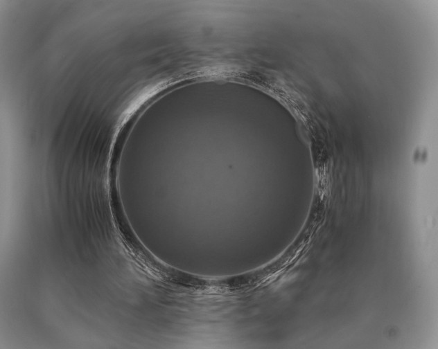X0000091060196200708061249