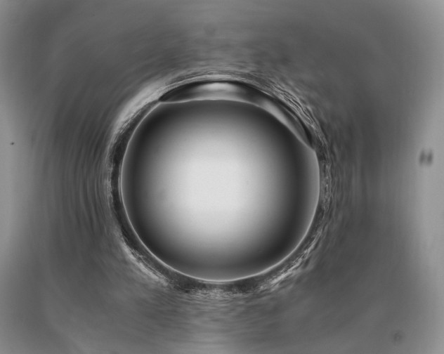 X0000091060197200708061249