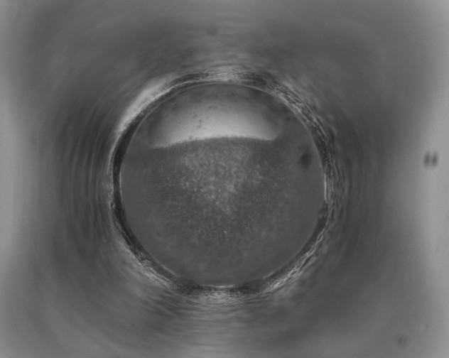 X0000091060198200708061249
