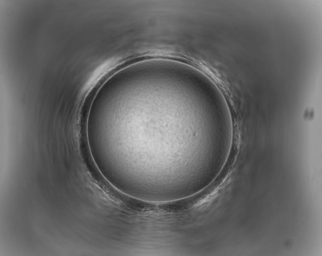 X0000091060199200708061249