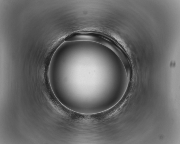 X0000091060201200708061248