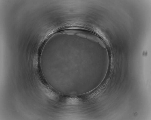 X0000091060202200708061248