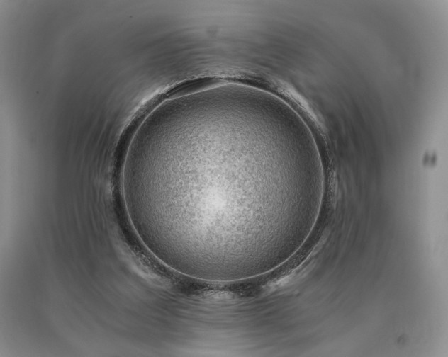 X0000091060203200708061248