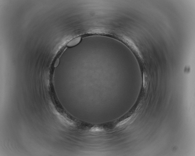 X0000091060204200708061248