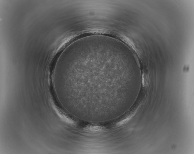 X0000091060205200708061248