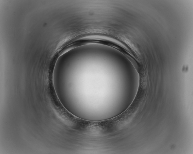 X0000091060207200708061248