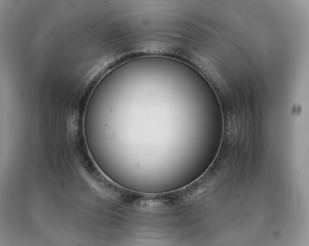 X0000091060208200708061248
