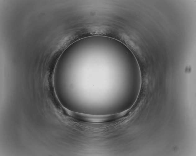 X0000091060209200708061248