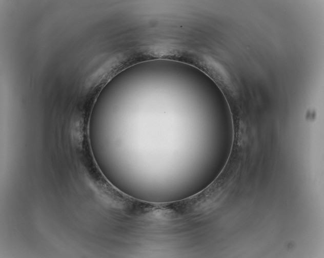 X0000091060210200708061248