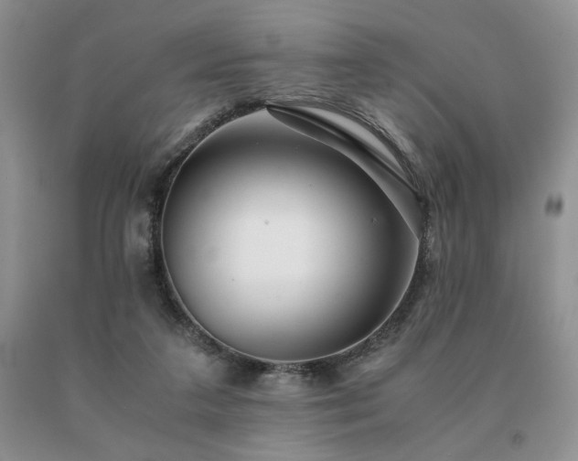 X0000091060211200708061248