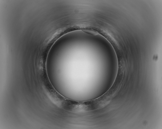X0000091060212200708061248