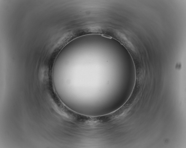 X0000091060213200708061248