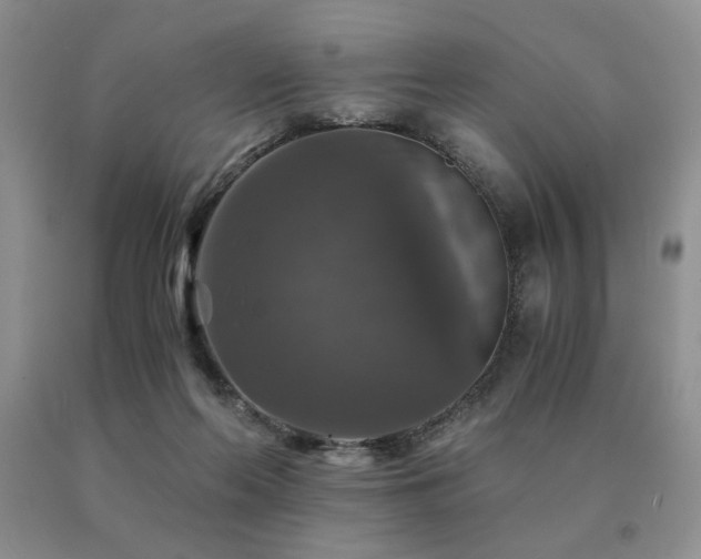 X0000091060214200708061248