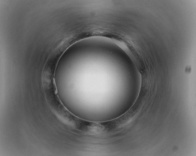 X0000091060215200708061248