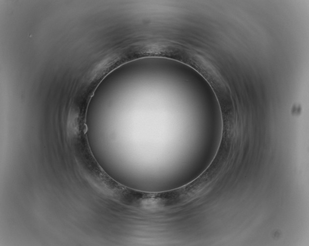 X0000091060216200708061248