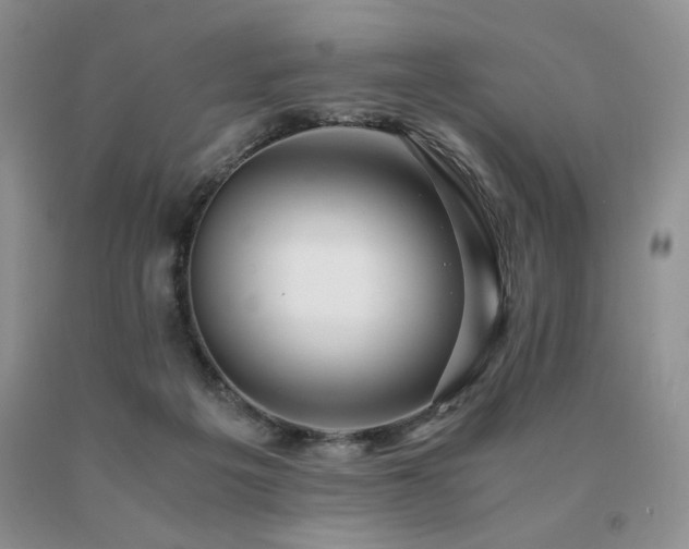X0000091060217200708061248