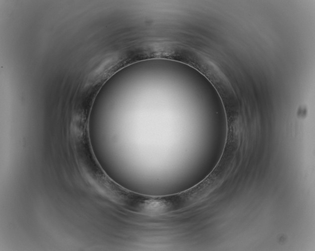 X0000091060218200708061248