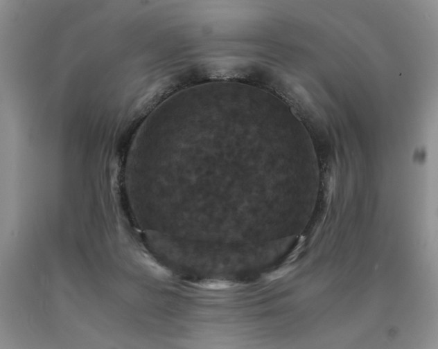 X0000091060219200708061248