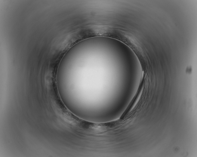 X0000091060221200708061248