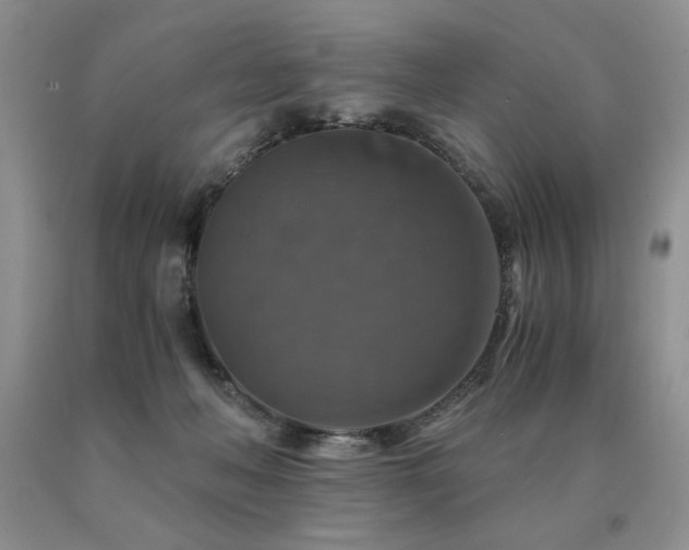 X0000091060222200708061248