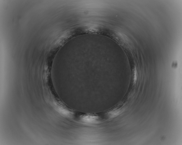 X0000091060223200708061248