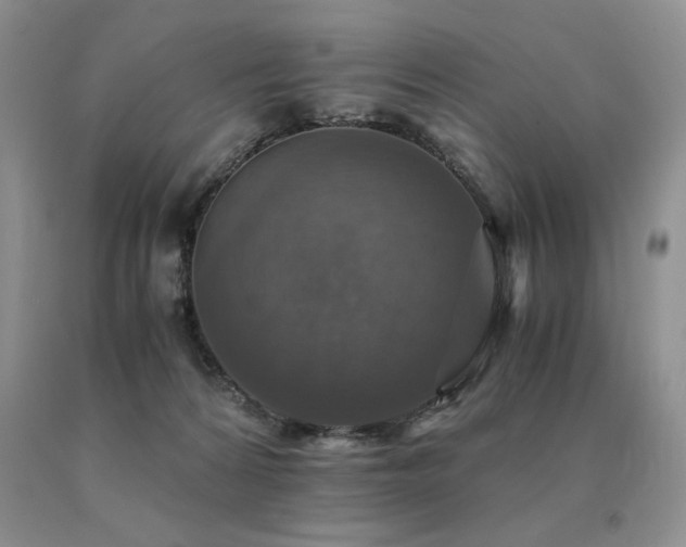 X0000091060224200708061248