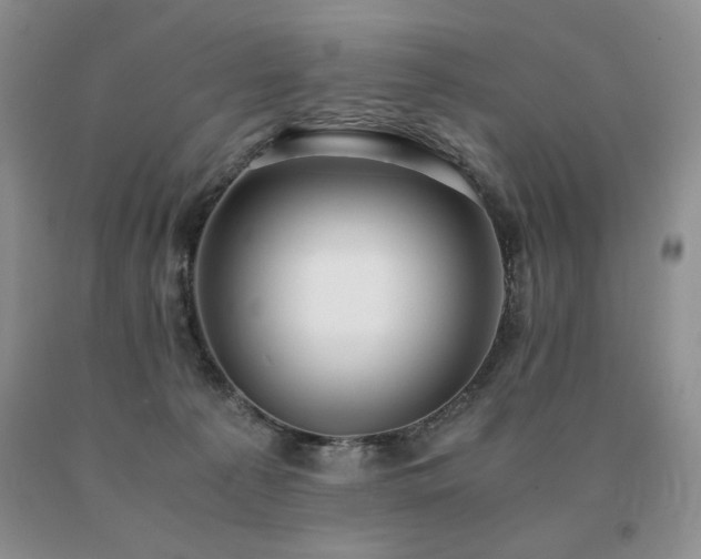 X0000091060225200708061248