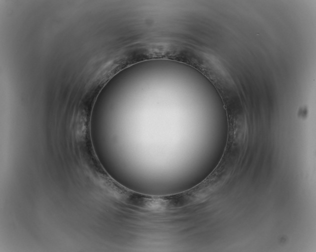 X0000091060226200708061248