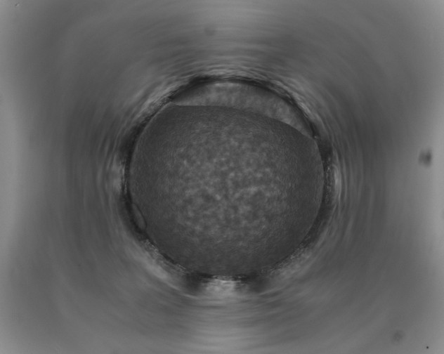 X0000091060227200708061248