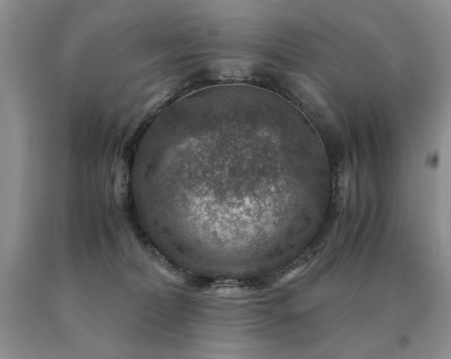 X0000091060228200708061248