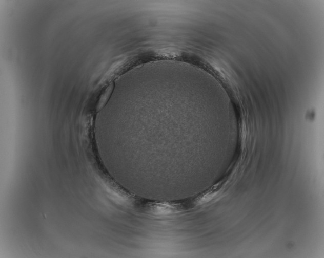 X0000091060229200708061248