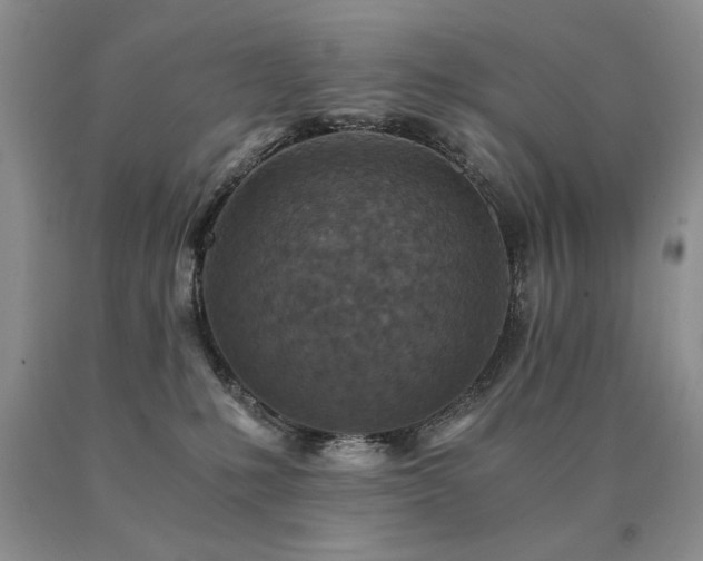 X0000091060231200708061248