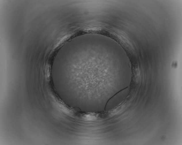 X0000091060232200708061248