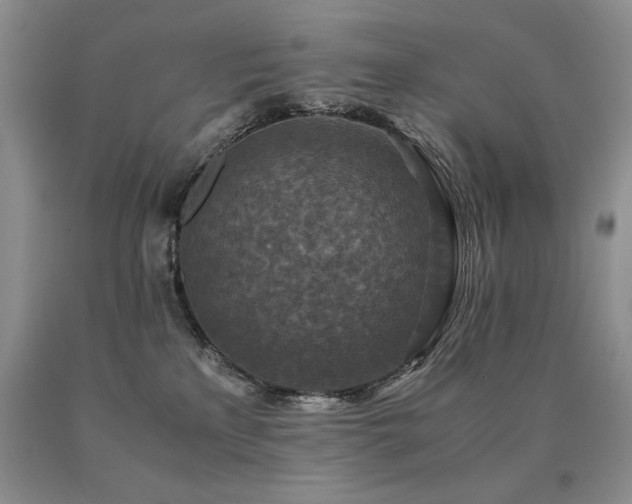 X0000091060233200708061248
