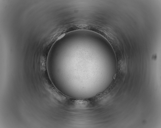X0000091060234200708061248